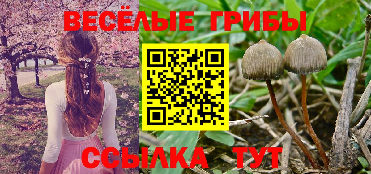 Псилоцибиновые грибы ЛСД  Вход с VPN  Псилоцибиновые грибы Cubensis  Муром 